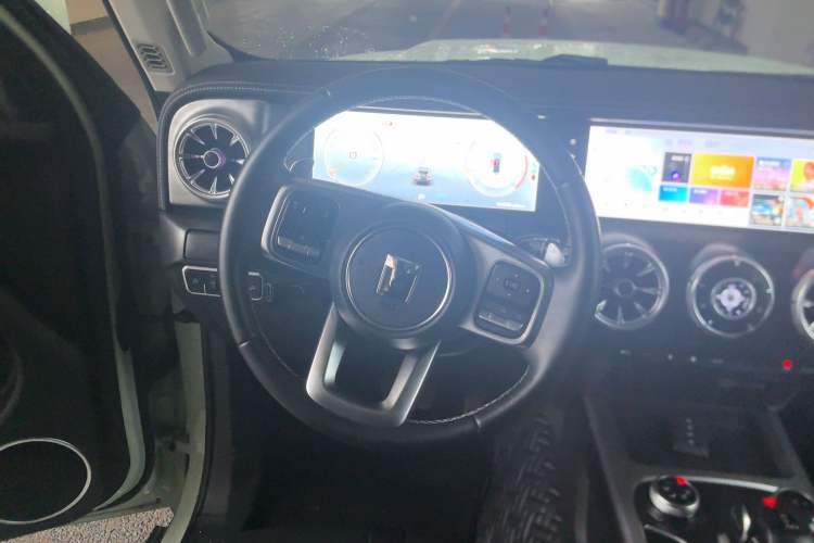 Used Tank 300 2024 2.0T Crosser
