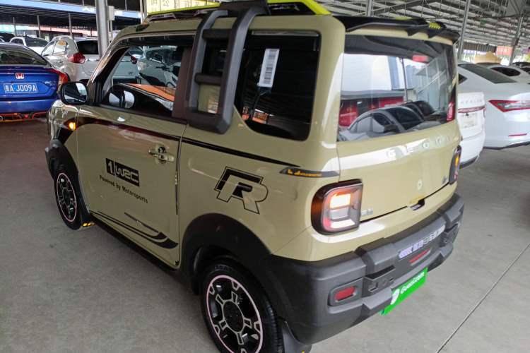 Used  Panda 2024 200km Panda Rider