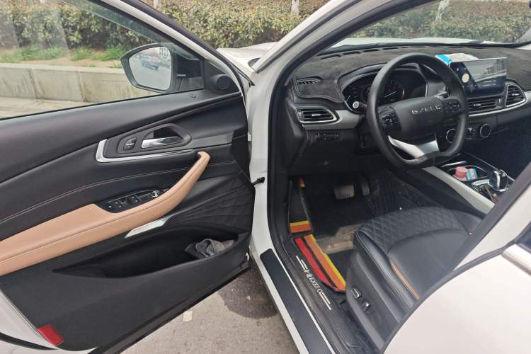 Used  TX 2021 Classic Edition 1.6T Four-Wheel Drive Star Enjoy Version