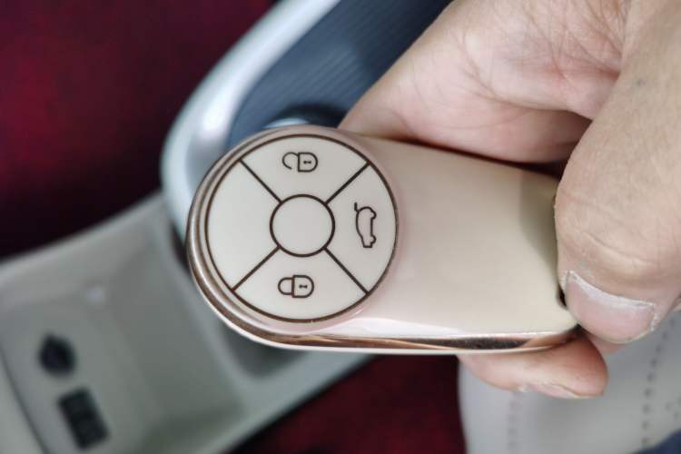 Used ORA Good Cat 2021 400km Standard Range Athena Edition Lithium Iron Phosphate