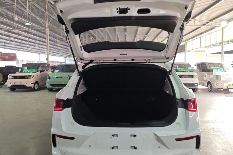 Used BYD e2 2023 Luxury Model
