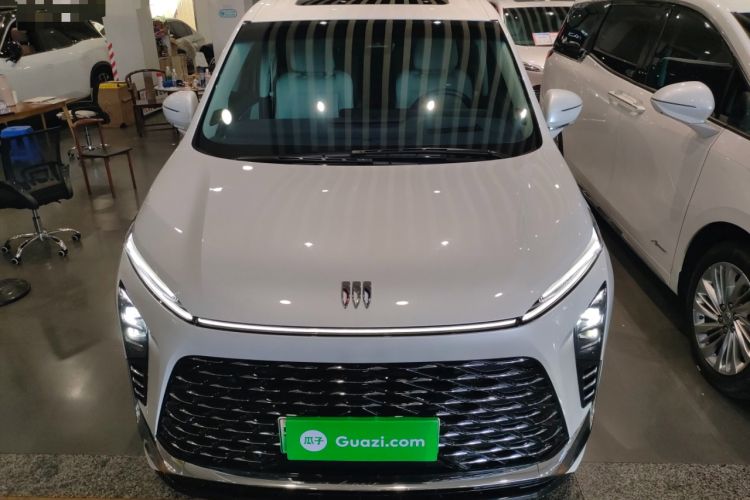 Used Buick GL8 New Energy 2024 Lu Zun Luxury Edition 6-Seater
