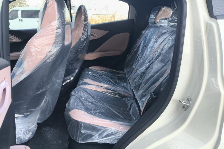 Used BYD Seagull 2025 Intelligent Driving Version 305 km Dynamic Edition
