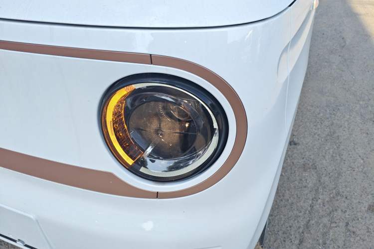 Used  Panda 2024 Panda Mini 200km Endurance Bear
