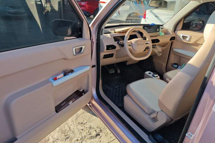 Used  Panda 2024 Panda Mini 200km Endurance Bear
