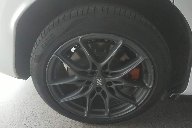 Used  LS6 2023 Max Long-Range Version
