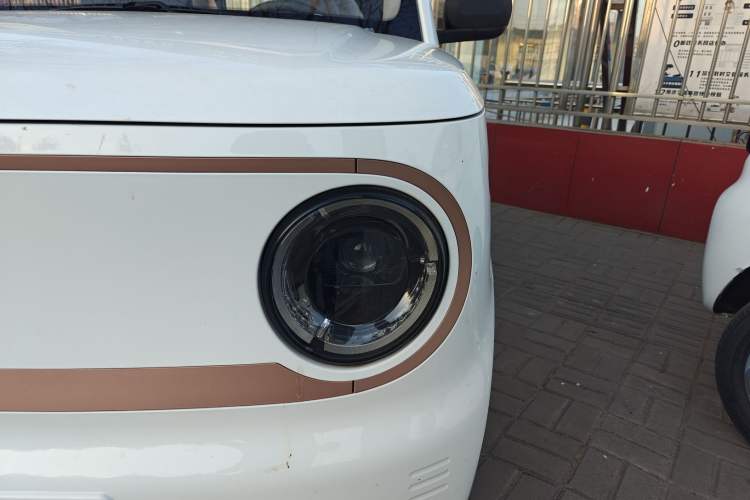 Used  Panda 2024 Panda Mini 200km Endurance Bear