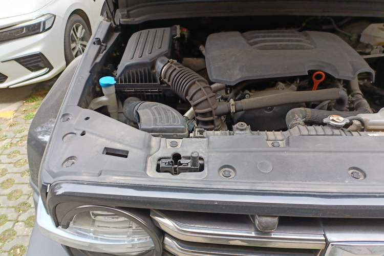 Used Tank 300 2021 City Edition 2.0T—Truly Stylish