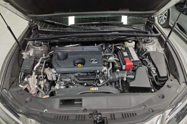 Used Lexus ES 2025 200 Premium Edition