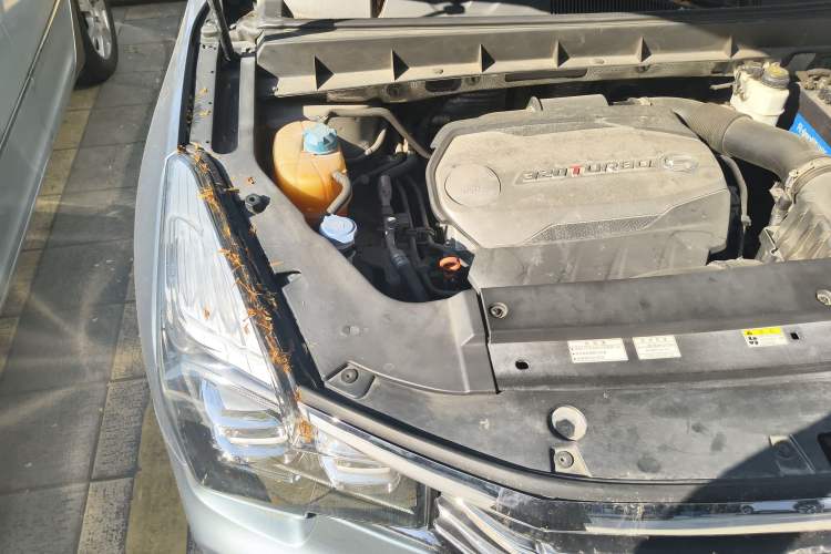 Used GAC Trumpchi GS8 2017 320T Two-Wheel Drive Luxury Smart Connectivity Version (7 Seats)
