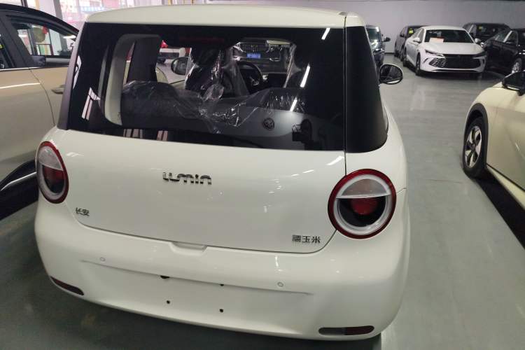 Used  Lumin 2025 205 km Xiangqin Version