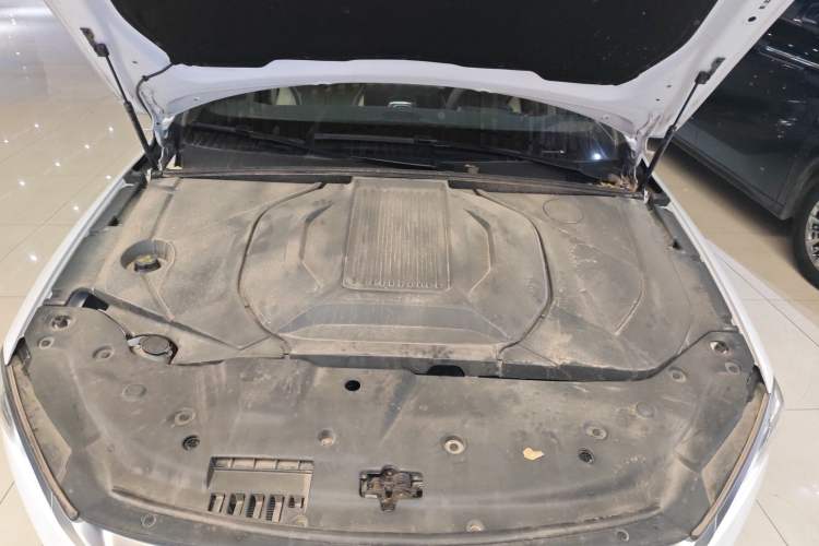 Used BYD Qin PLUS 2021 EV 600KM Flagship Model