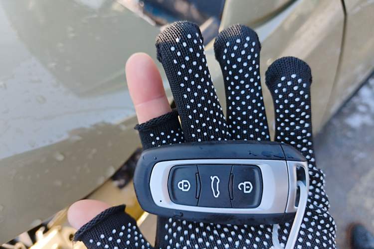 Used  Panda 2025 210km Panda Rider
