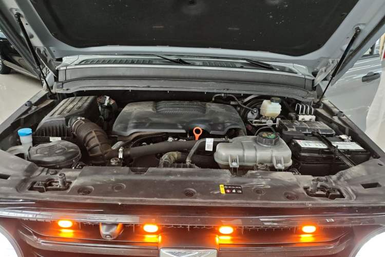 Used Tank 300 2024 2.0T Conqueror
