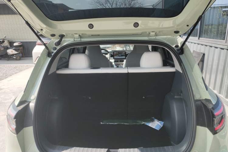 Used  Geome 2026 Model 310km Youth Edition
