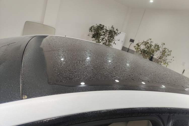 Used Tesla Model Y 2024 Rear-Wheel-Drive Version