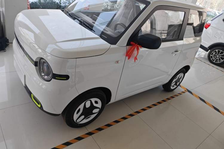 Used  Panda 2025 210 km – Yuanqi Bear
