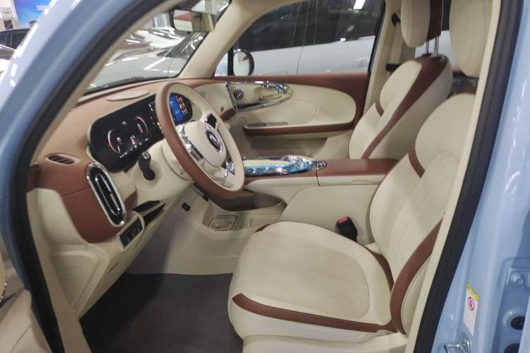 Used ORA Ballet Cat 2023 401 km Luxury Version
