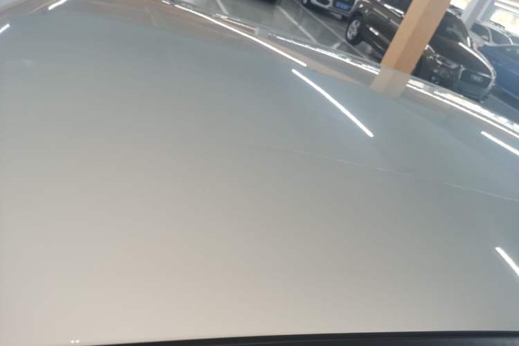 Used  Lumin 2023 205km Xiangqin Version
