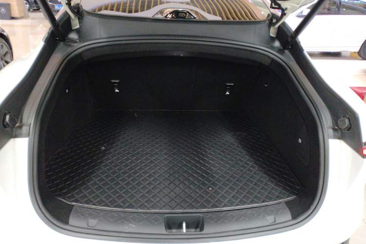 Used  06 2025 Pro All-Electric Version
