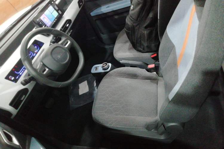 Used  Panda 2024 Panda Mini 200km Endurance Bear
