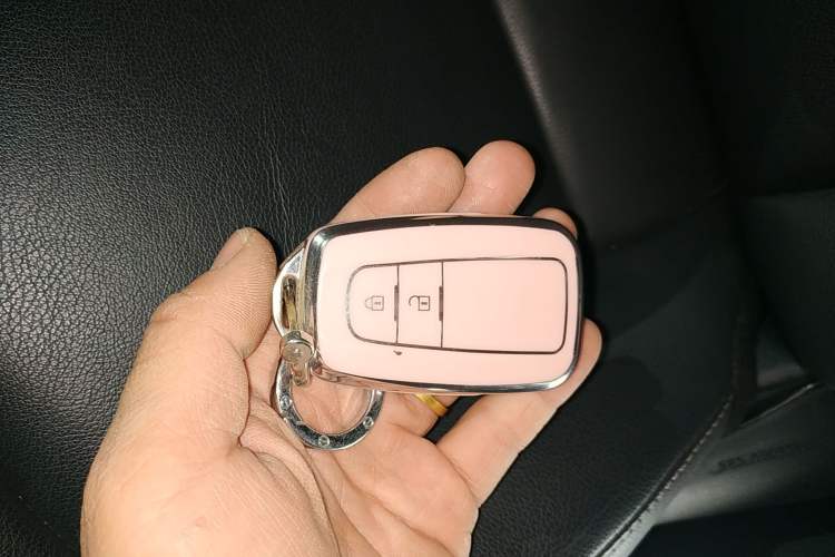 Used Toyota Wildlander 2022 2.0L CVT Two-Wheel Drive Luxury PLUS Edition
