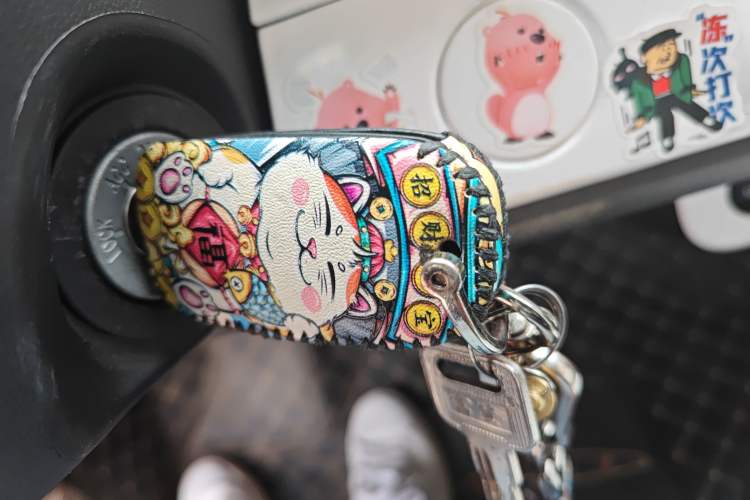 Used Qiyuan Lumin 2023 205km Xiangqin Version
