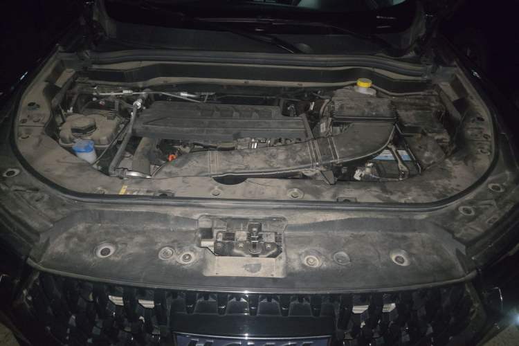 Used Haval H6 2023 National Trend Edition 1.5T Automatic Champion Version