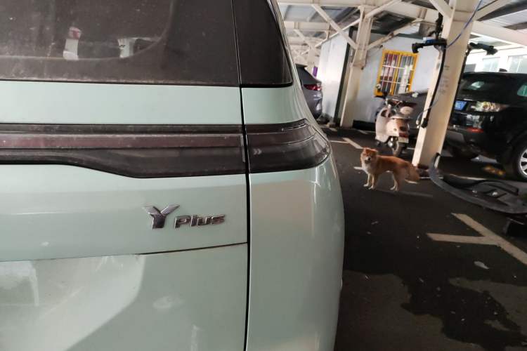 Used AION Y 2023 Plus 510 Enjoy Edition