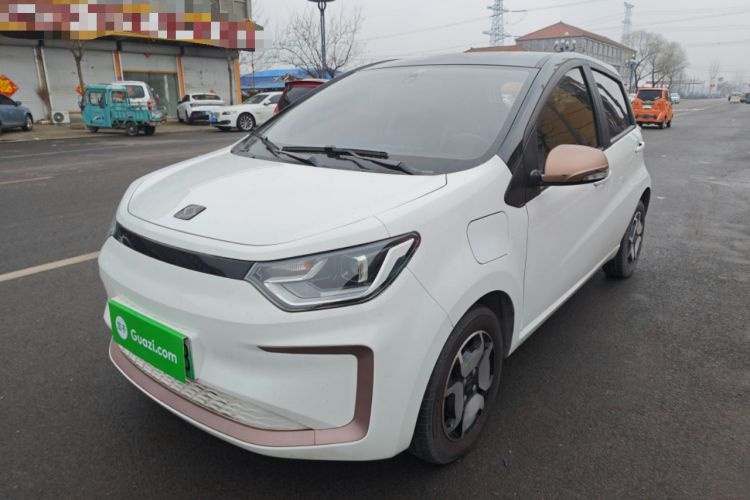 Used SOL E10X 2022 Flower Fairy Style Baby's Breath