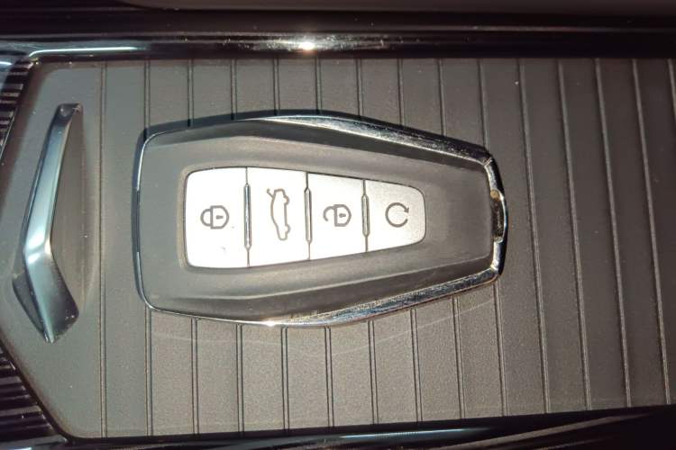 Used Geely Auto Monjaro L 2024 2.0TD High-Power Automatic Two-Wheel Drive Skyline Edition
