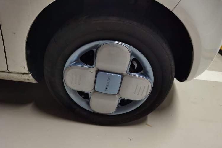 Used  Panda 2023 Panda Mini 200km Endurance Bear