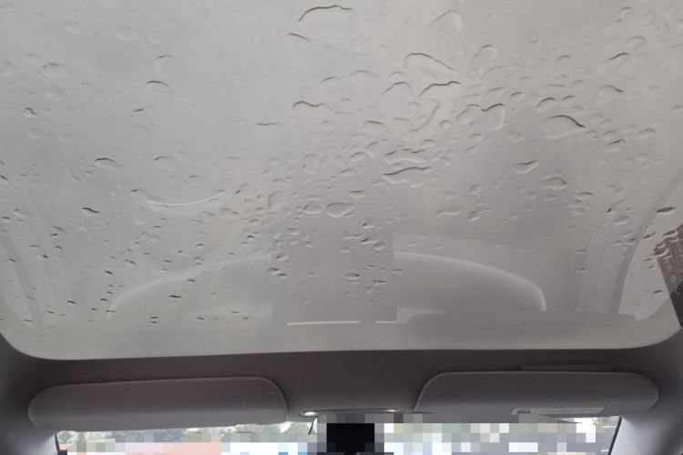 Used Tesla Model Y 2025 Rear-Wheel-Drive Version
