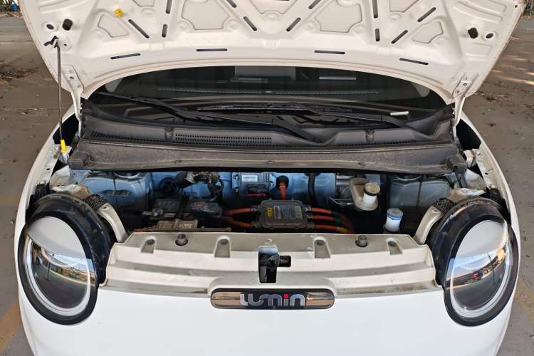 Used  Lumin 2022 210km Sweet Edition
