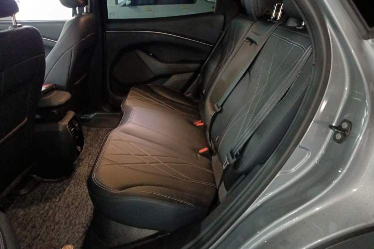 Used Ford Mustang Mach-E 2021 Leap Edition Rear-Drive Version (Standard Range)