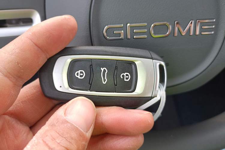 Used  Panda 2024 Panda Mini 200km Endurance Bear
