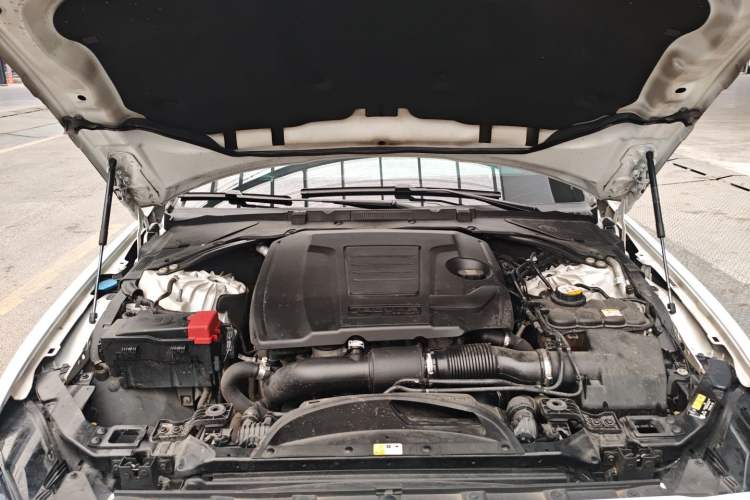 Used Jaguar XEL 2020 2.0T 200 PS R-DYNAMIC S Advanced Sport Edition