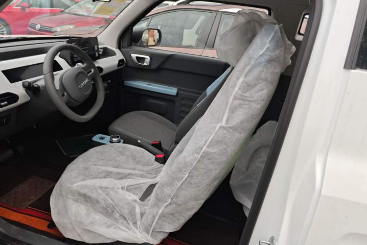 Used  Panda 2024 Panda Mini 200km Endurance Bear
