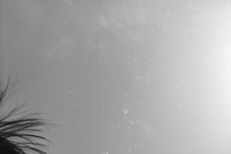 Used Haval H6 2022 3rd Generation 1.5T Automatic Two-Wheel Drive Max