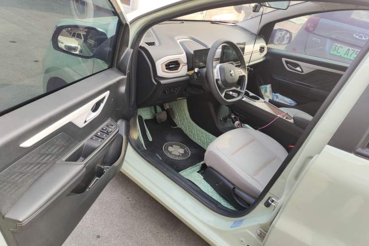 Used SOL E10X 2022 Flower Fairy Design Four-Leaf Clover
