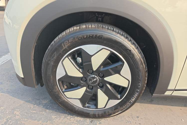 Used BYD Dolphin 2024 Honor Edition 420km Freedom Version
