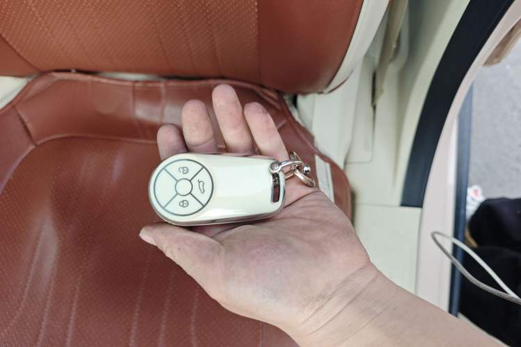 Used ORA Good Cat 2021 400km Standard Range Venus Edition Lithium-Ion Battery
