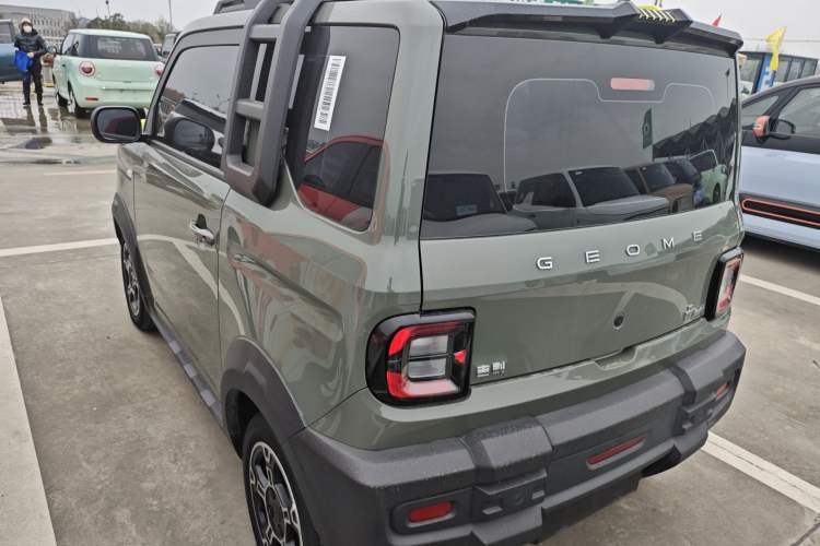 Used  Panda 2024 200km Panda Rider