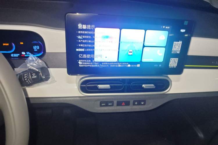 Used  Panda 2025 210 km – Yuanqi Bear
