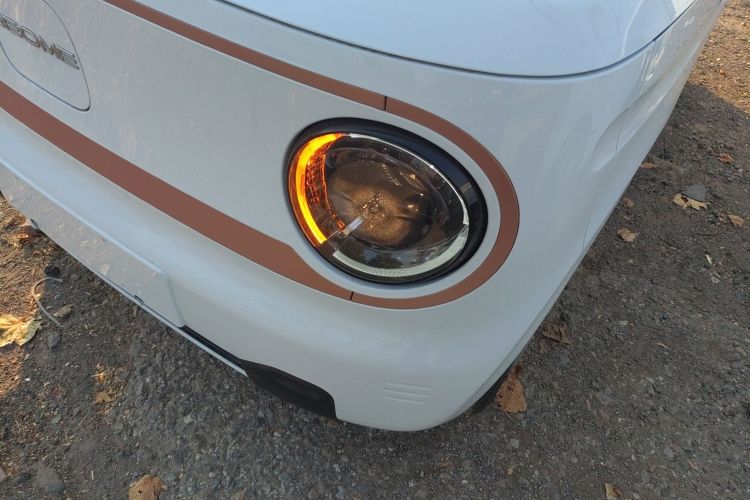 Used  Panda 2024 Panda Mini 200km Endurance Bear
