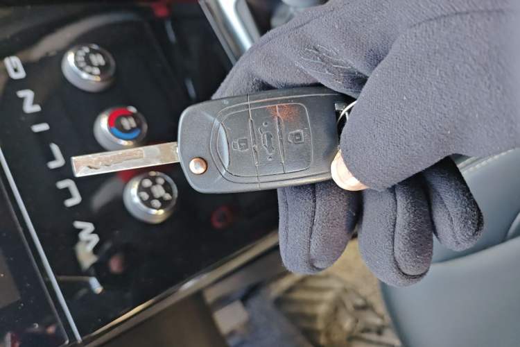 Used Wuling Hongguang PLUS 2019 1.5T Manual Luxury 7-Seater