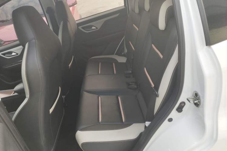 Used SOL E10X 2022 Flower Fairy Style Baby's Breath
