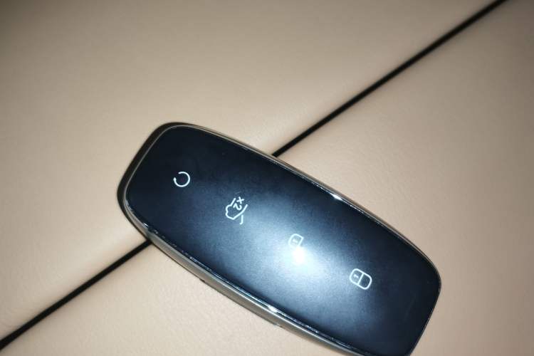 Used Denza D9 2022 DM-i 970 Four-Wheel Drive Prestige Model
