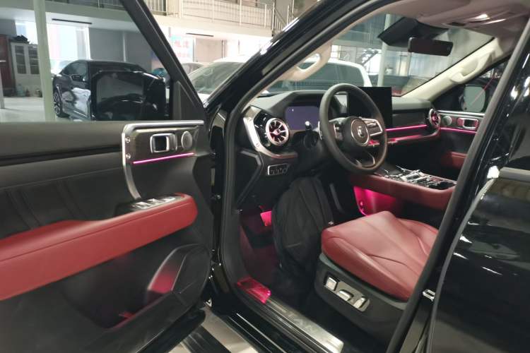 Used Tank 400 New Energy 