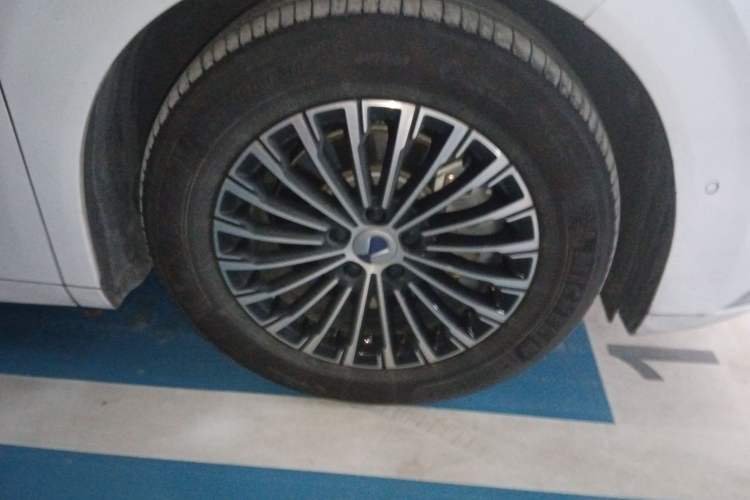 Used Denza D9 2022 EV 600 Four-Wheel Drive Flagship Model